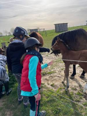 Mini-camp poney 11-14.04.2022